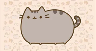 Pusheen – Web and social media favorite cartoon cat
