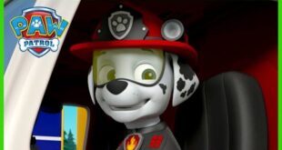 Marshall – Another top-tier Paw Patrol favorite for younger audiences.