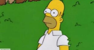 Homer Simpson – High impact as the patriarch of the longest-running US sitcom.