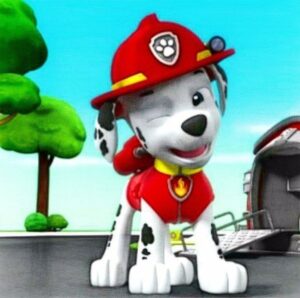 Marshall – Another top-tier Paw Patrol favorite for younger audiences.